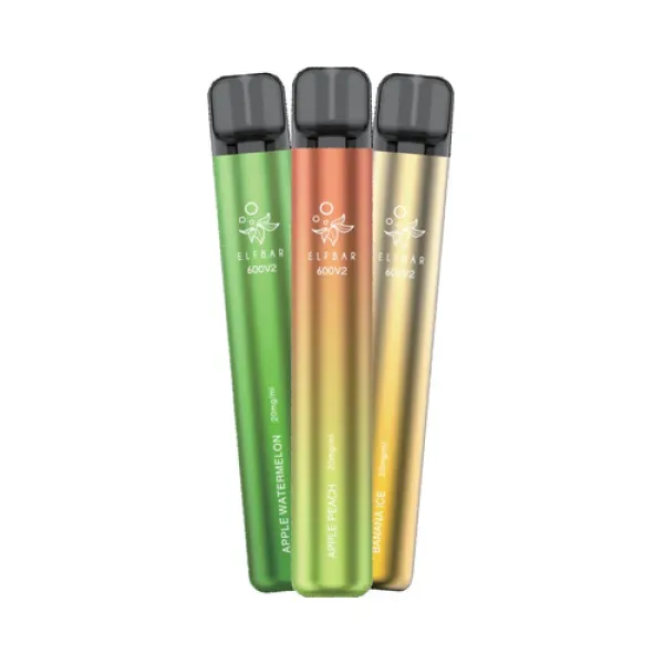 ELF BAR 600 V2 DISPOSABLE VAPE